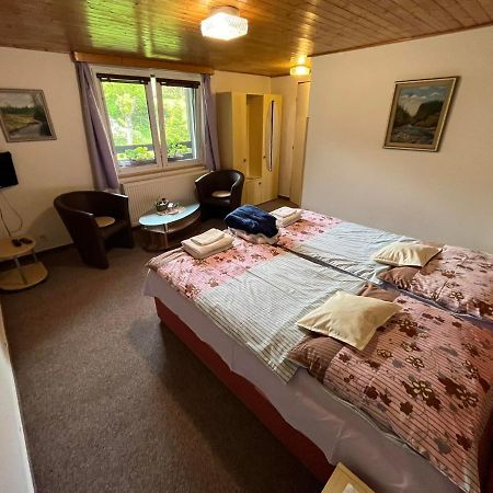 Relax Pension U Nosku Smržovka エクステリア 写真